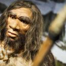 That is why Neanderthal has a big nose