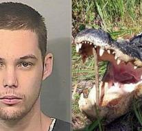 Alligator eats burglar