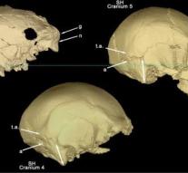 Ancient human skull found