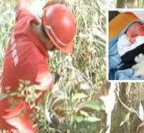'Baby survives throw in ravine by father'