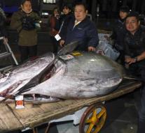 Bluefin tuna auctioned for 2.7 million euros