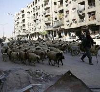 'Catastrophic' situation in rebel city of Syria