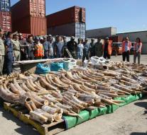 China bans trade in ivory