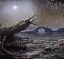 Crocodile rock: fossil tribute Motörhead