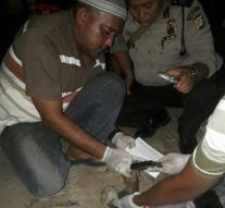 Crowd in Jakarta burns thief