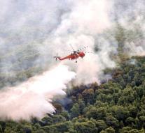Deaths of Greek forest fires now 93