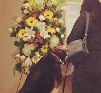 Dog says goodbye to his deceased owner