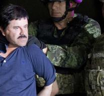 'Dutch police tapped drug lord for US'