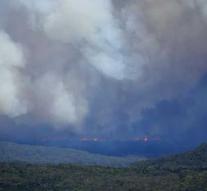 Evacuations caused by forest fires at Sydney