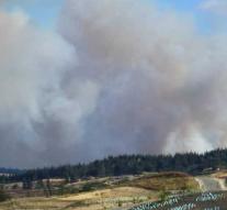 Forest fire ravages south island New Zealand