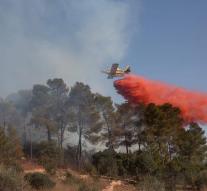 Forest fires in Israel over