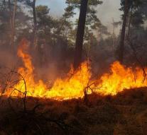 Forest fires ravage dry north Spain