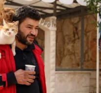 In devastated Aleppo, one citizen still has an eye for cats