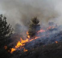 Israel asks for help for firefighting