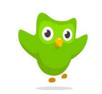 Language app Duolingo comes with payment variant