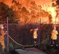 Large forest fire on the outskirts of Sydney
