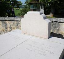 Man is destroying De Gaulle's grave