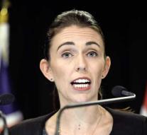 New Zealand government agrees on arms law