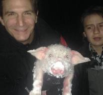 Pig rescued during snowstorm