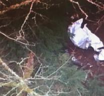 Plane plunges into ravine US: four dead