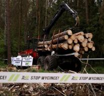 Poland has to stop cutting of forests