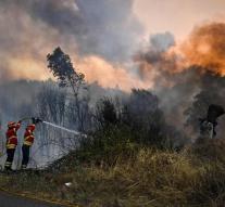 Portuguese villages cleared due to forest fires