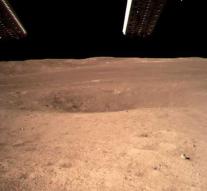 'Potatoes and caterpillars on the moon is not a stunt'