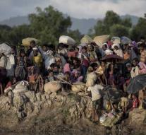 Preliminary investigation into violence against Rohingya