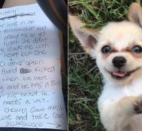 Puppy with heartbreaking note left