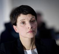 Right-wing populist AfD: Germany no longer safe