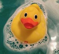 'Rubber rubber duck full of bacteria and fungi'
