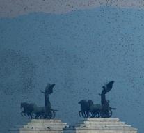 Starlings Plague affects Rome