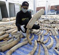 Thai Customs interceptes the charge of ivory