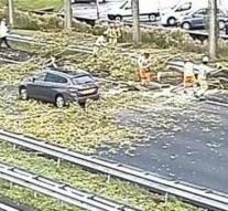 Tree falls on driving car, highway A13 close