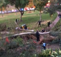 Tree falls on wedding guests: 1 dead