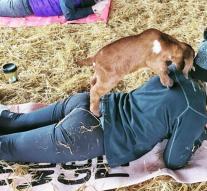 Yoga with goats: a gap in the market