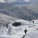 American Hikers under Influence of Magic Mushrooms Call Emergency Services for Nonexistent Fatality