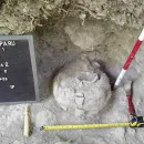 Ancient Mayan City Ruins Unearthed in Guatemala