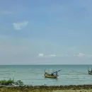 Ancient Skull Remains Found Off Indonesian Coast Shed Light on Human Ancestors