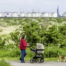 Controversial deforestation law in EU causes division among member states