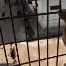 Dutch Prisoner in Laos Faces Harsh Conditions: Overcrowded Cells and Basic Facilities