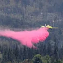 EU to Assist Israel in Combating 'Devastating Fires' Between Jerusalem and Tel Aviv