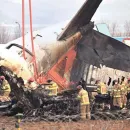First Report on Crashed Korean Plane: Feathers and Blood Found