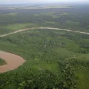 Five Survive 36 Hours in Crocodile-Infested Marsh After Plane Crash in Bolivia