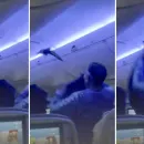 Flight Delayed by Pigeons on Board: Chaos Unfolds as Birds Cause Return to Gate
