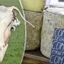 French Environmental Activists Target Comté Cheese with Support from Facebook Pioneer