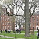 Harvard University Takes Legal Action Against Ban on Foreign Students