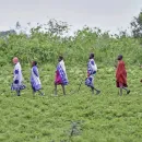 Kenyan Court Rules Against Tech Giants Meta and Netflix in Climate Project Dispute