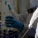 New Virus 'Camp Hill' Raises Alarm in the US