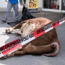 Raging bull trots supermarket